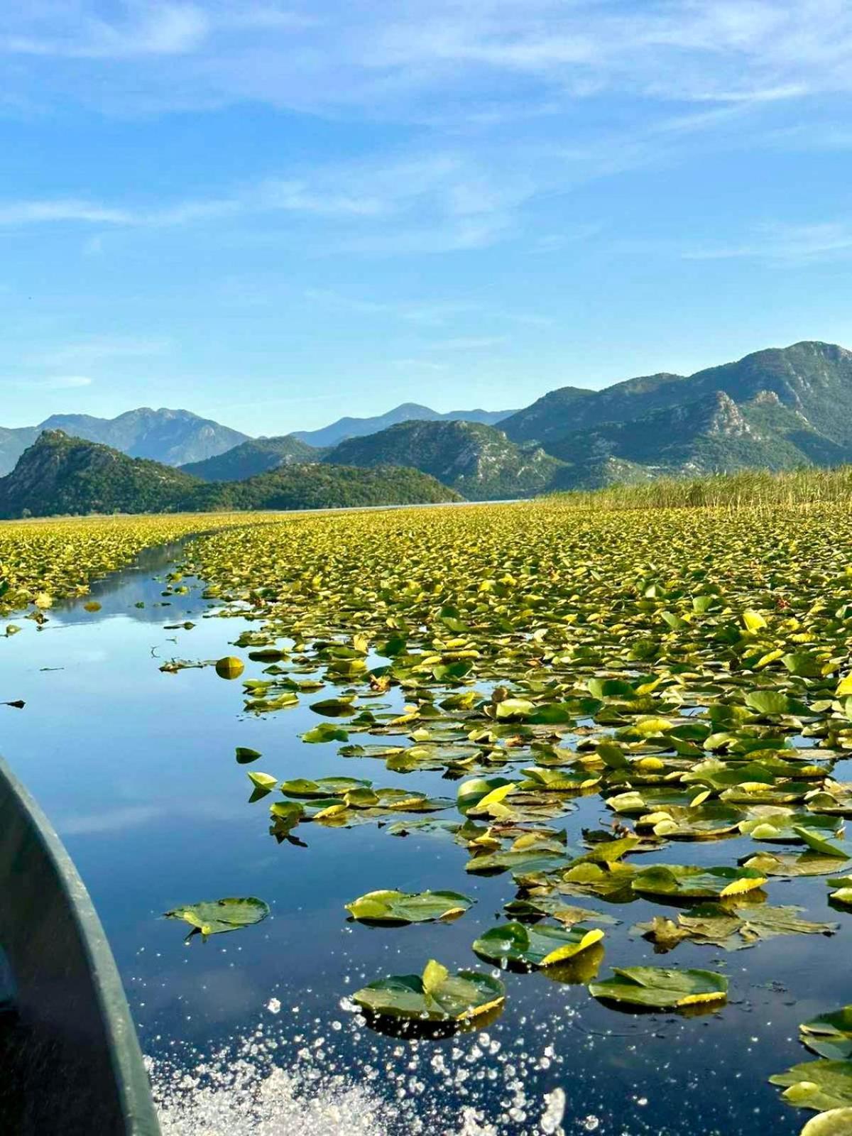 Casa Di Kiara, Skadar Lake Dodosi Экстерьер фото